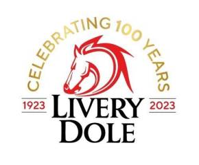 MITSUBISHI L200 2020 (20) at Livery Dole Exeter
